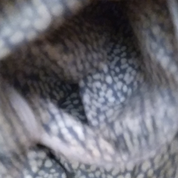 NWOT Fossil flower 🌼 purse in excellent shape - Picture 6 of 11